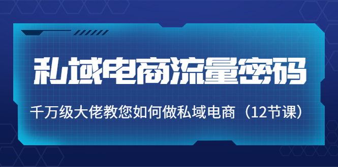私域电商流量密码：千万级大佬教您如何做私域电商（12节课）-网创资源吧