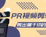 PR视频剪辑课：各种剪辑与视频特效玩法，剪出属于你的大片-网创资源吧