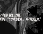 新媒体IP内训营(12期)，一套全新的“公域引流，私域成交”IP打法，直接带走-网创资源吧