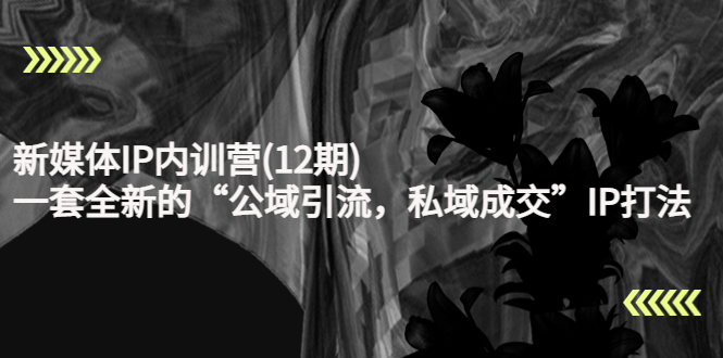新媒体IP内训营(12期)，一套全新的“公域引流，私域成交”IP打法，直接带走-网创资源吧