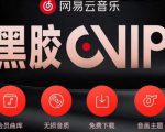 网易云音乐撸黑胶年卡及变现方法,收益可无限放大-网创资源吧