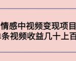 副业孵化营第5期:抖音情感中视频变现项目孵化 单条视频收益几十上百-网创资源吧