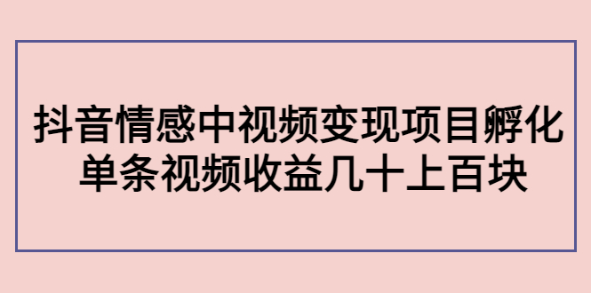 副业孵化营第5期：抖音情感中视频变现项目孵化 单条视频收益几十上百-网创资源吧