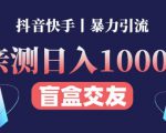日收益1000+的交友盲盒副业丨有手就行的抖音快手暴力引流-网创资源吧