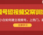 视频号短视频文案训练营：0基础小白如何建立视频号，上热门，能卖货！-网创资源吧