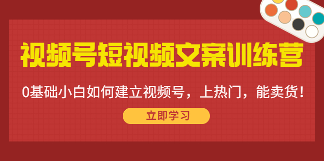 视频号短视频文案训练营：0基础小白如何建立视频号，上热门，能卖货！-网创资源吧