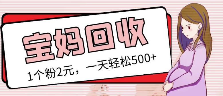 最新小红书母婴号宝妈粉回收项目，1个粉2元，一天轻松500+案例分享【粉丝包回收】-网创资源吧