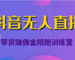 抖音无人直播带货赚佣金陪跑训练营(价值6980元)-网创资源吧