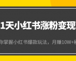 21天小红书涨粉变现营(第4期):带你掌握小红书爆款玩法,月赚10W+秘密-网创资源吧