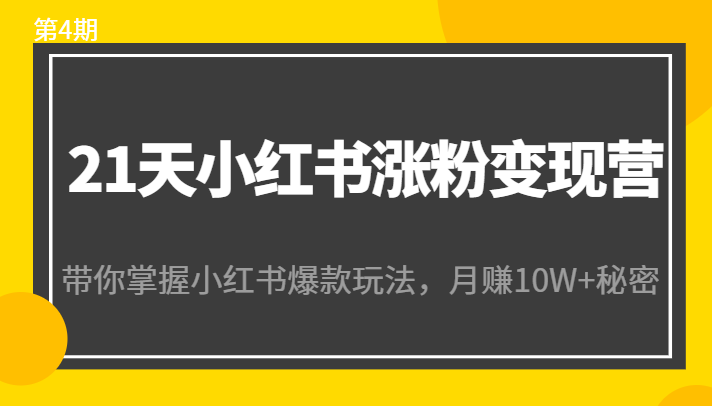 21天小红书涨粉变现营（第4期）：带你掌握小红书爆款玩法，月赚10W+秘密-网创资源吧