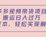 多多视频带货项目,搬运日入过万,0成本,轻松实现躺赚(教程+软件)-网创资源吧