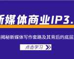 新媒体商业IP3.0,全面揭秘新媒体写作套路及其背后的底层逻辑(价值1299元)-网创资源吧