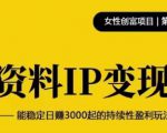 资料IP变现,能稳定日赚3000起的持续性盈利玩法-网创资源吧