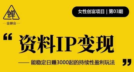 资料IP变现，能稳定日赚3000起的持续性盈利玩法-网创资源吧