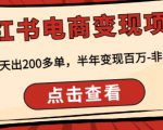 顽石·小红书电商变现项目,实测当天出200多单,半年变现百万,非常稳定-网创资源吧