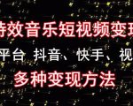 黄岛主《粒子特效音乐短视频变现项目》主攻平台抖音、快手、视频号多种变现方法-网创资源吧