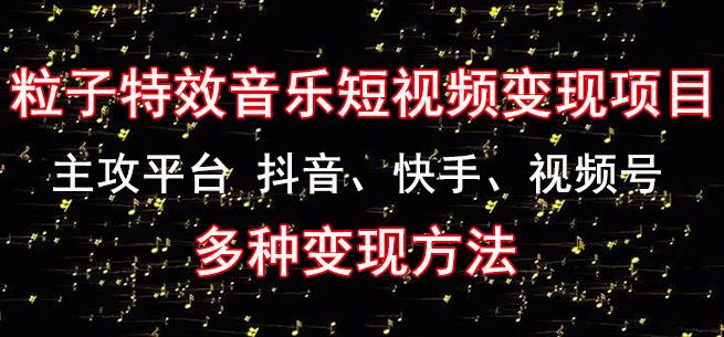 黄岛主《粒子特效音乐短视频变现项目》主攻平台抖音、快手、视频号多种变现方法-网创资源吧