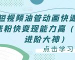 短视频油管动画快速制作涨粉快变现能力高(0基础进阶大神)-网创资源吧