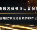 抖音短视频带货内容创作班,解密爆款带货短视频的创作公式-网创资源吧