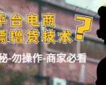 外面收费2980的全平台电商白嫖撸货技术(仅揭秘勿操作-商家防范必看)-网创资源吧