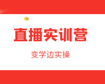 直播实训营,变学边实操,成为运营型主播,拉动直播间人气-网创资源吧