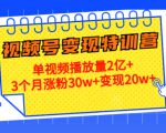 21天视频号变现特训营:单视频播放量2亿+3个月涨粉30w+变现20w+(第14期)-网创资源吧