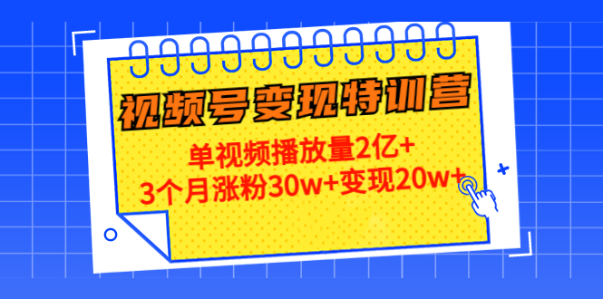 21天视频号变现特训营：单视频播放量2亿+3个月涨粉30w+变现20w+（第14期）-网创资源吧