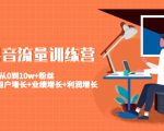美业抖音流量训练营:从0到10w+粉丝 让你的门店用户增长+业绩增长+利润增长-网创资源吧