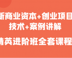 新商业资本+创业项目,技术+案例讲解,精英进阶班全套课程-网创资源吧