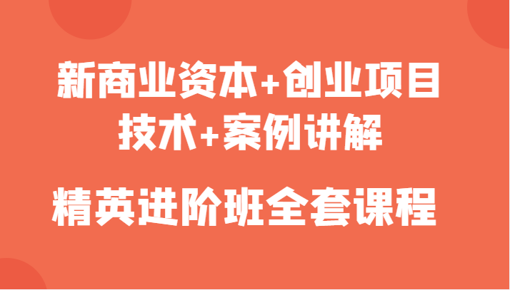 新商业资本+创业项目，技术+案例讲解，精英进阶班全套课程-网创资源吧