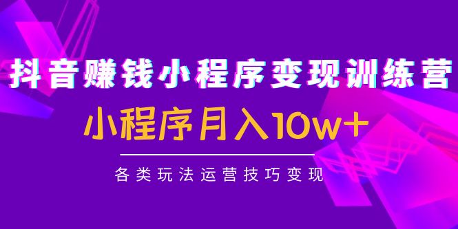 抖音赚钱小程序变现训练营：小程序月入10w+各类玩法运营技巧变现-网创资源吧