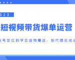 2023短视频带货爆单运营,从账号定位到学会选预爆品,到代理完成出单(价值1250元)-网创资源吧
