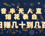 抖音半无人直播烟花表白,日赚几十到几百(教程+视频模板素材)-网创资源吧