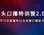 镜头口播特训营2.0版,学习文案编导以及拍摄口播能力(50节课时)-网创资源吧