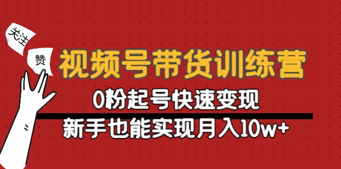 视频号带货训练营：0粉起号快速变现，新手也能实现月入10w+-网创资源吧