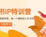 小红书IP特训营:从搭建-制作-爆款脚本等等,做一个赚钱的小红书号-网创资源吧