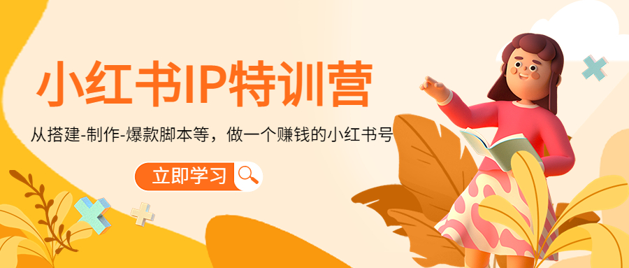 小红书IP特训营：从搭建-制作-爆款脚本等等，做一个赚钱的小红书号-网创资源吧