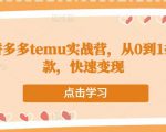 跨境拼多多temu实战营,从0到1打造爆款,快速变现-网创资源吧