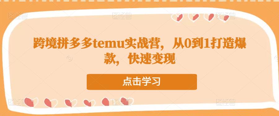 跨境拼多多temu实战营，从0到1打造爆款，快速变现-网创资源吧