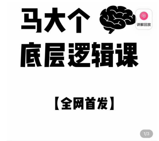 马大个·底层逻辑课，51节底层逻辑智慧课-价值1980元-网创资源吧