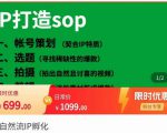 瑶瑶·自然流IP孵化,系统掌握IP孵化全流程,也能学到选题,剪辑,账号运营经验-网创资源吧