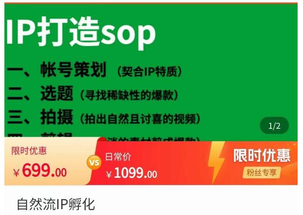瑶瑶·自然流IP孵化，系统掌握IP孵化全流程，也能学到选题，剪辑，账号运营经验-网创资源吧