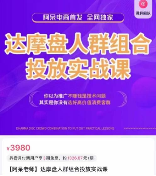 阿呆电商·达摩盘人群组合投放实战课，你以为推广不赚钱是技术问题，其实是你没有选好高价值消费客群-网创资源吧