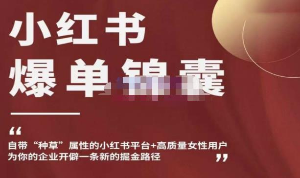 小红书爆单锦囊，自带种草属性+高质量女性用户，为你的企业开辟一条新的掘金路径-网创资源吧