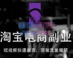 蓝Sir派·淘宝短视频快速起店，替代传统搜索方式，学会做一个不一样的淘宝店-网创资源吧