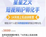 瑶瑶·自然流短视频IP孵化第二期,14天线上实战训练营,赋能100个人成为有数据能赚钱的独立IP孵化手-网创资源吧