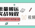 视频号批量搬运实战操作运营赚钱教程,傻瓜式批量制作高质量内容【附视频教程+PPT】-网创资源吧