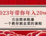 韭菜-联盟·2023年带你年入20w+方法简单粗暴,一个教你割韭菜的课程-网创资源吧