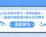 厦九九小红书学习年卡(全年IP孵化),沉浸式学习,一起成为有影响力的小红书博主-网创资源吧
