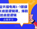 大圣淘宝天猫电商1-7层级盈利增长底层逻辑课,爆款的底层逻辑-网创资源吧